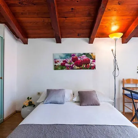 Brane Апартаменти